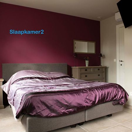 Studiobeerse Met Sauna Zwembad En Spa Apartman Kültér fotó
